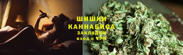 ПСИЛОЦИБИНОВЫЕ ГРИБЫ Верея