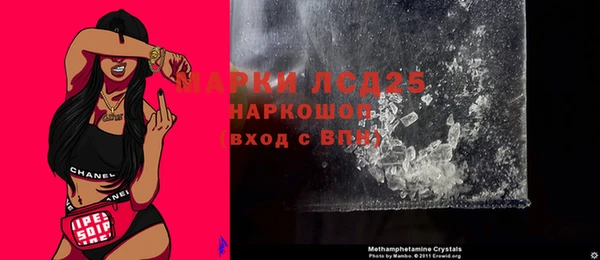 ПСИЛОЦИБИНОВЫЕ ГРИБЫ Верея