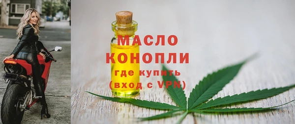 прущие грибы Верхний Тагил