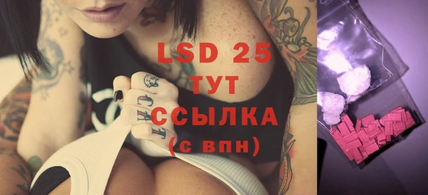 прущие грибы Верхний Тагил