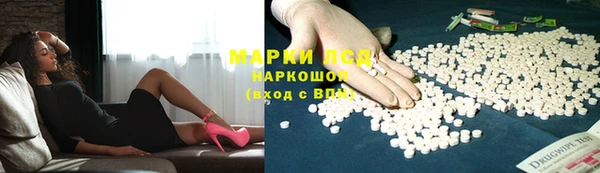ПСИЛОЦИБИНОВЫЕ ГРИБЫ Верея