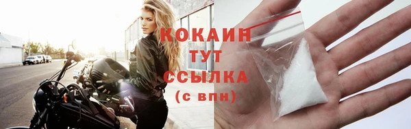 прущие грибы Верхний Тагил