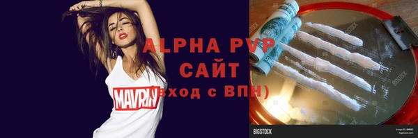 прущие грибы Верхний Тагил