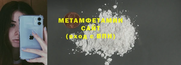 прущие грибы Верхний Тагил