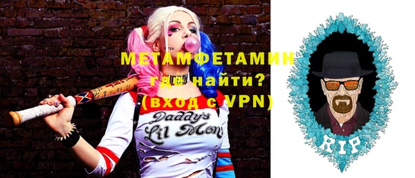 прущие грибы Верхний Тагил