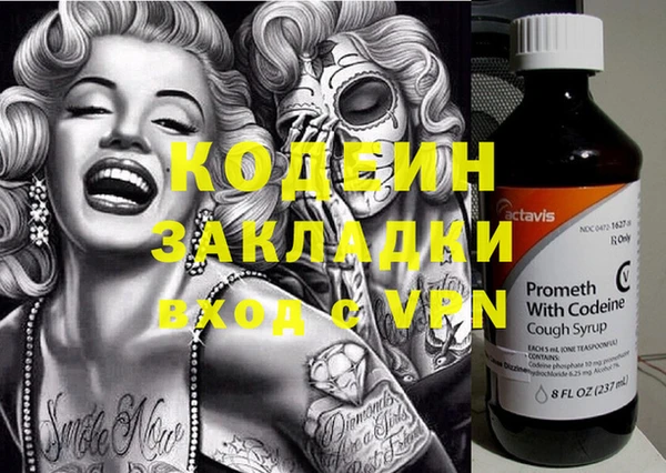 ПСИЛОЦИБИНОВЫЕ ГРИБЫ Верея