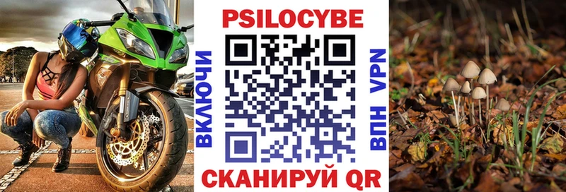 Псилоцибиновые грибы Cubensis  Теберда 