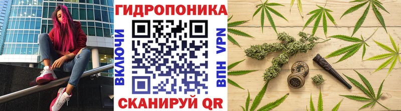 Бошки марихуана конопля  сколько стоит  мориарти какой сайт  Теберда 
